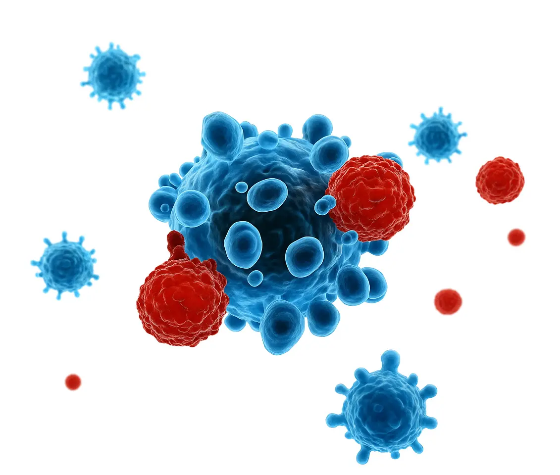Depiction of off-the-shelf “ready-made” CAR T therapy used for large B-cell lymphoma (LBCL) treatment