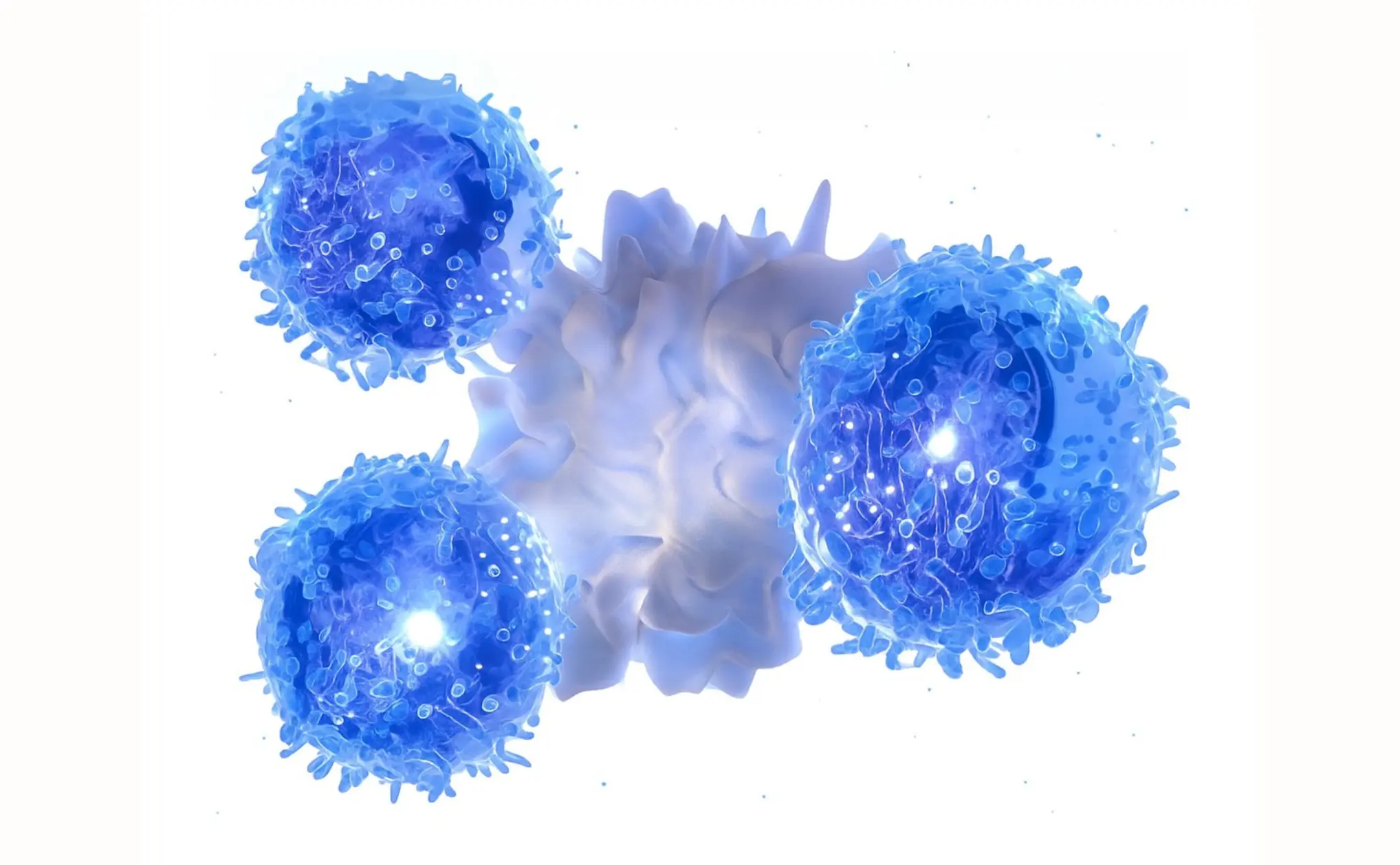 Gamma delta T-cells attacking cancer cells visual representation of SunAct’s advanced immunotherapy for hard-to-treat cancers