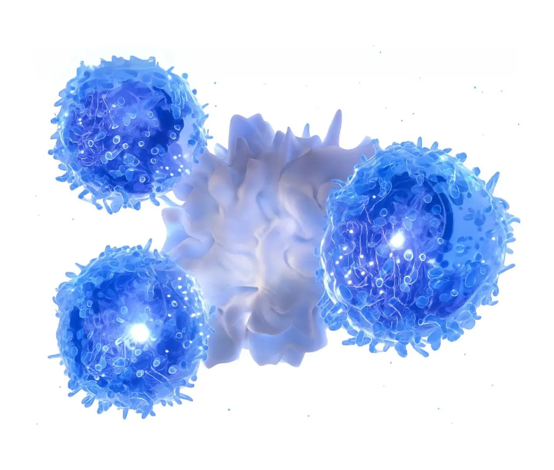 Gamma delta T-cells attacking cancer cells visual representation of SunAct’s advanced immunotherapy for hard-to-treat cancers